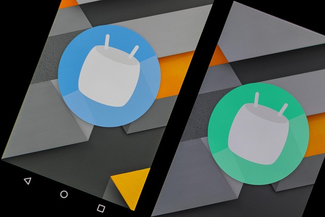 Recovering Data After Resetting Android to Factory Settings
